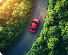 International Travel / Border Crossing